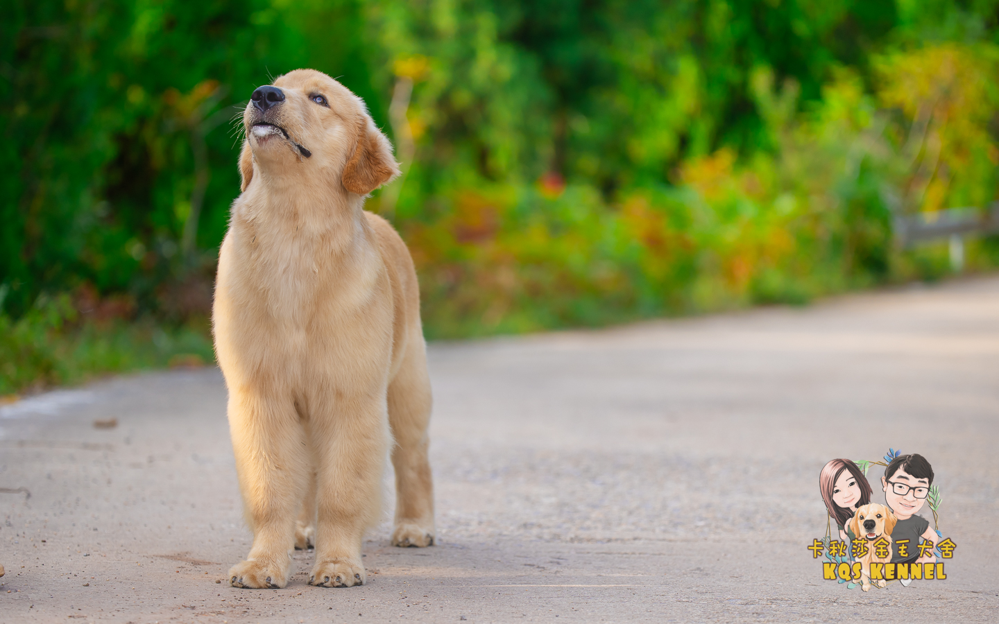 中国登录冠军直子--能能